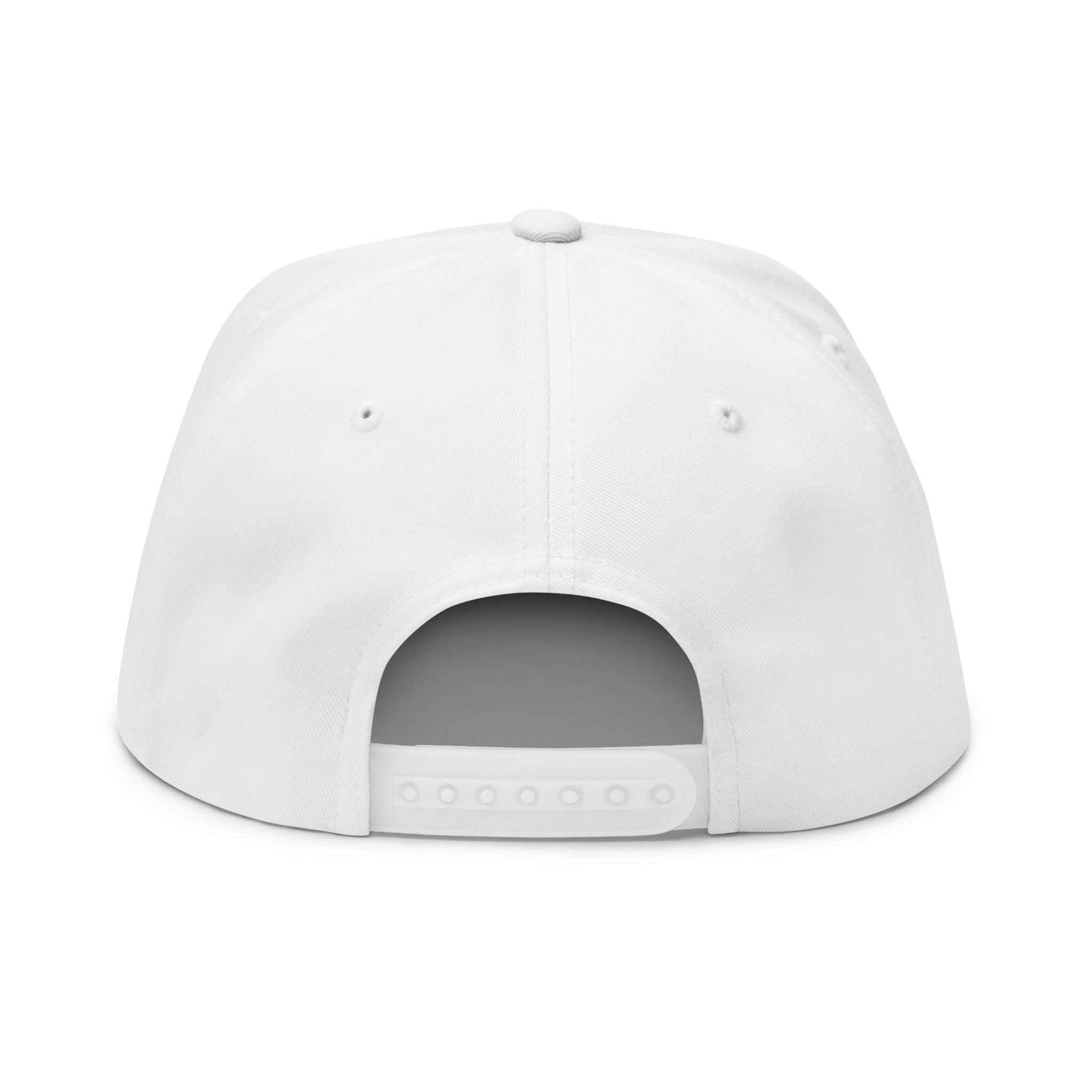  America 250 Flat Bill Hat Back View